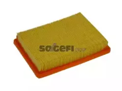 Воздушный фильтр CoopersFiaam купить