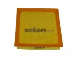 Воздушный фильтр CoopersFiaam купить