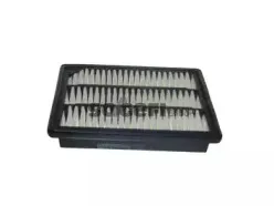 Воздушный фильтр CoopersFiaam купить