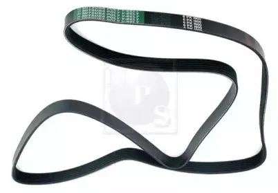 Поликлиновой ремень NPS купить