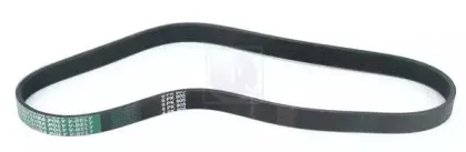 Поликлиновой ремень NPS купить