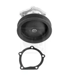 Водяной насос NPS купить