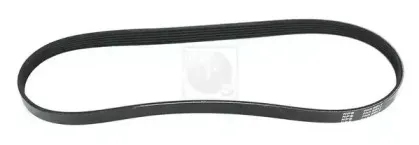 Поликлиновой ремень NPS купить