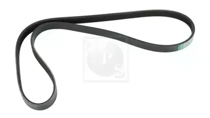 Поликлиновой ремень NPS купить