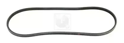 Поликлиновой ремень NPS купить