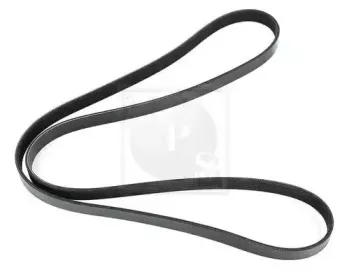 Поликлиновой ремень NPS купить