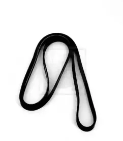 Поликлиновой ремень NPS купить