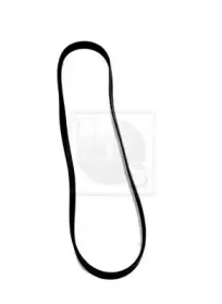 Поликлиновой ремень NPS купить