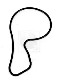 Водяной насос NPS купить