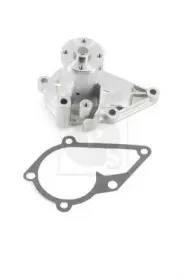 Водяной насос NPS купить