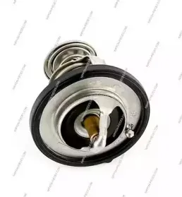 Термостат, охлаждающая жидкость NPS купить