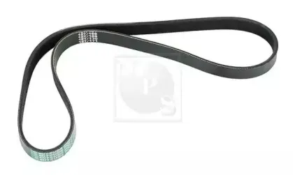 Поликлиновой ремень NPS купить