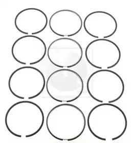 Комплект поршневых колец NPS купить