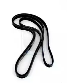 Поликлиновой ремень NPS купить