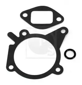 Водяной насос NPS купить