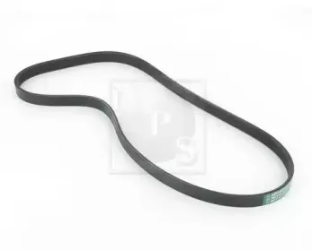 Поликлиновой ремень NPS купить