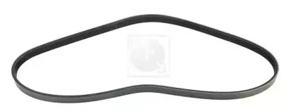 Поликлиновой ремень NPS купить