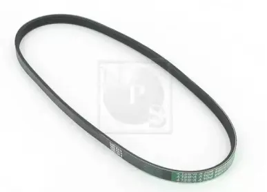 Поликлиновой ремень NPS купить