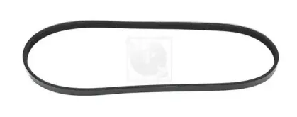 Поликлиновой ремень NPS купить