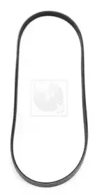 Поликлиновой ремень NPS купить