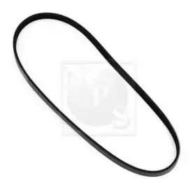 Поликлиновой ремень NPS купить