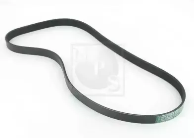 Поликлиновой ремень NPS купить