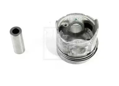 Поршень NPS купить