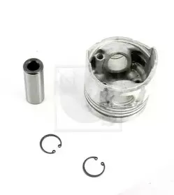 Поршень NPS купить