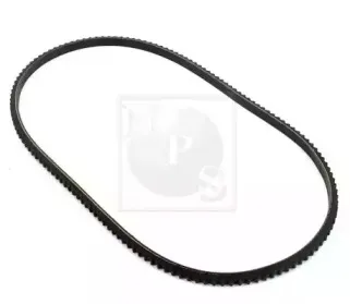 Поликлиновой ремень NPS купить