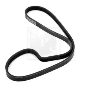 Поликлиновой ремень NPS купить