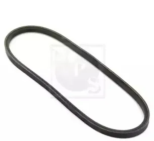 Поликлиновой ремень NPS купить