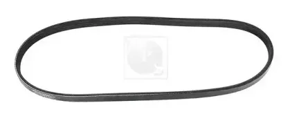 Поликлиновой ремень NPS купить