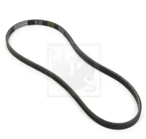 Поликлиновой ремень NPS купить