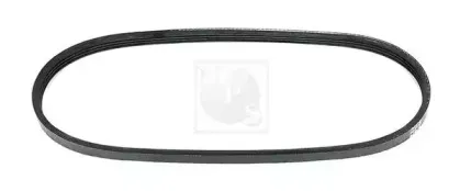 Поликлиновой ремень NPS купить