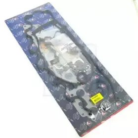 Комплект прокладок, двигатель NPS купить