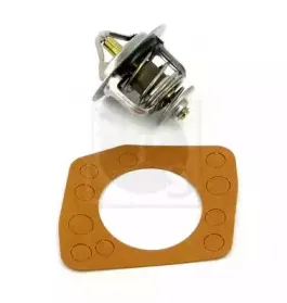 Термостат, охлаждающая жидкость NPS купить