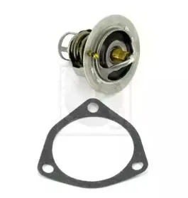 Термостат, охлаждающая жидкость NPS купить