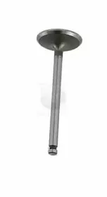 Впускной клапан NPS купить