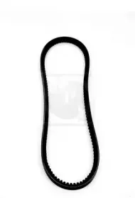 Поликлиновой ремень NPS купить