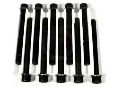 Комплект болтов головки цилидра NPS купить