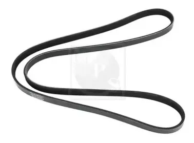 Поликлиновой ремень NPS купить