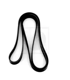 Поликлиновой ремень NPS купить