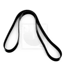 Поликлиновой ремень NPS купить