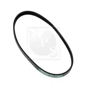 Поликлиновой ремень NPS купить