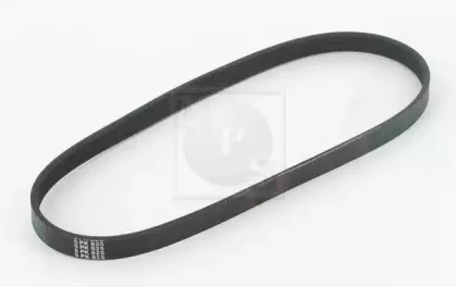 Поликлиновой ремень NPS купить