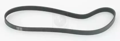 Поликлиновой ремень NPS купить