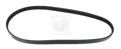 Поликлиновой ремень NPS купить