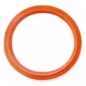 Прокладка, датчик уровня топлива FISPA купить