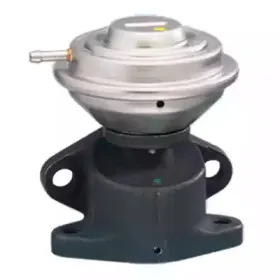 Клапан возврата ОГ FISPA купить