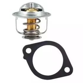 Термостат, охлаждающая жидкость FISPA купить